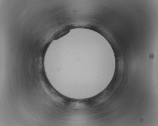 X0000113060498200910091147