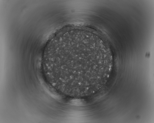 X0000113060499200910091147