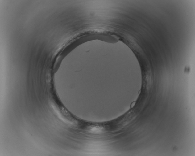 X0000113060500200910091147