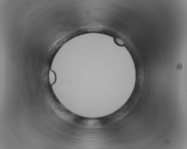X0000113060501200910091147