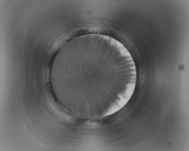 X0000113060502200910091147