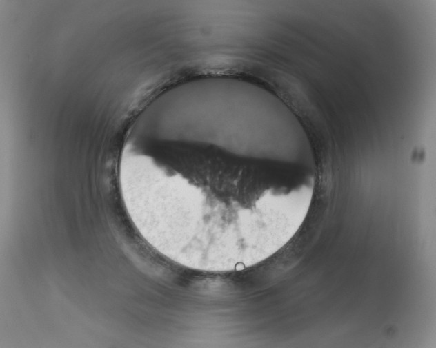 X0000113060503200910091147