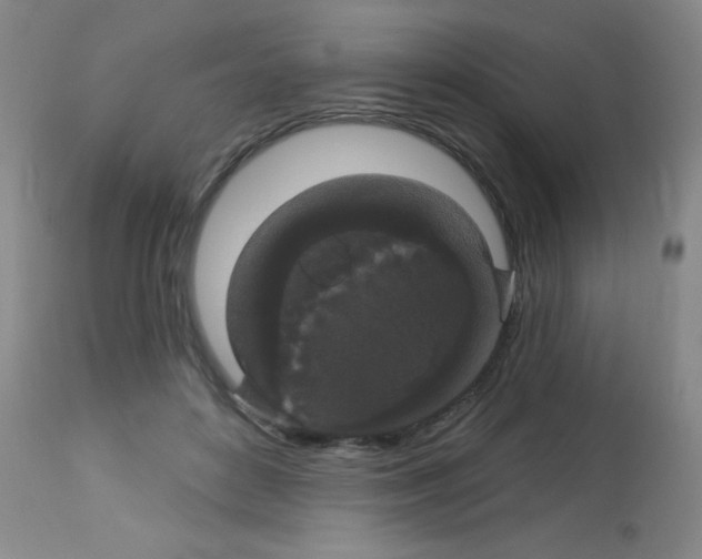 X0000113060504200910091147