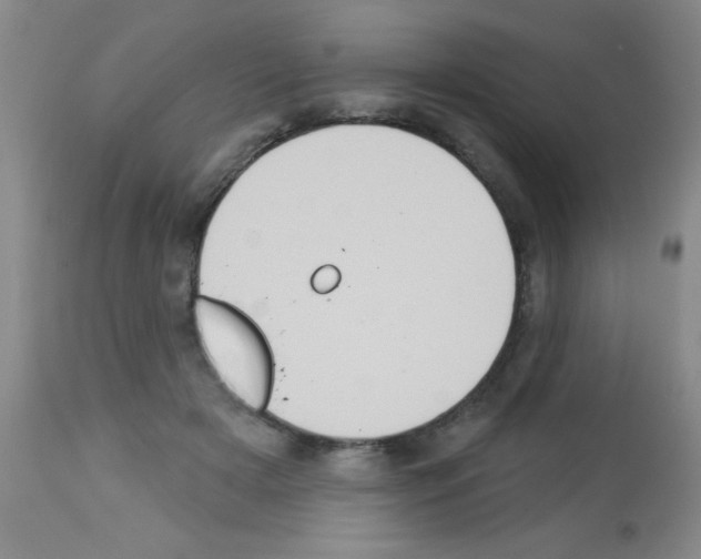 X0000113060505200910091147