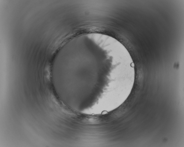 X0000113060506200910091147