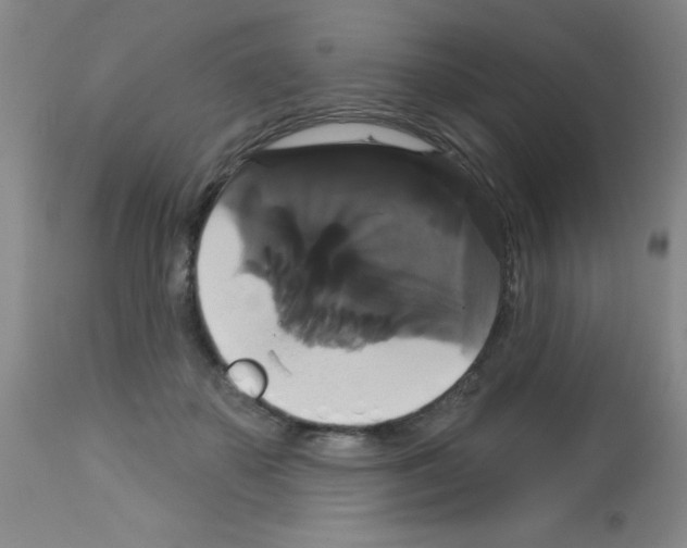 X0000113060507200910091147