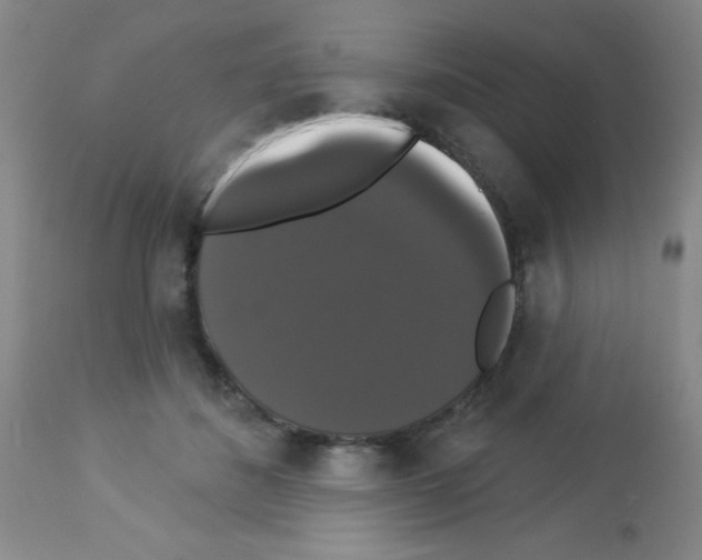 X0000113060508200910091147