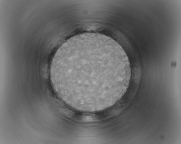 X0000113060510200910091147