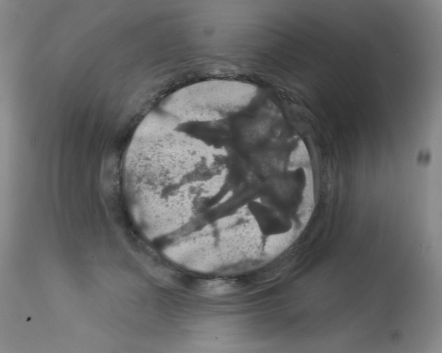 X0000113060511200910091147