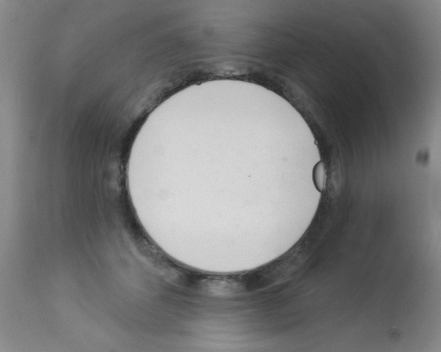 X0000113060512200910091147