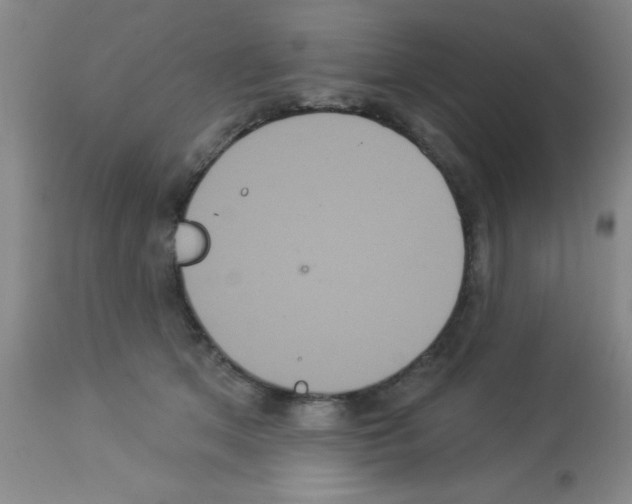 X0000113060513200910091147