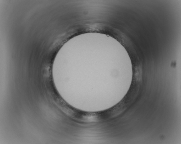 X0000113060514200910091147