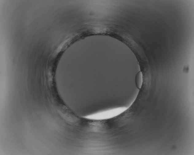 X0000113060516200910091147