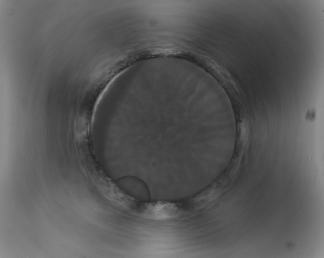 X0000113060517200910091147