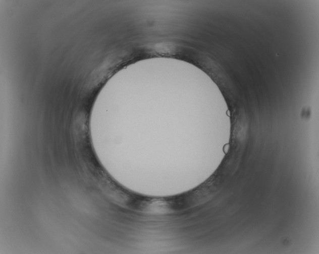 X0000113060518200910091147