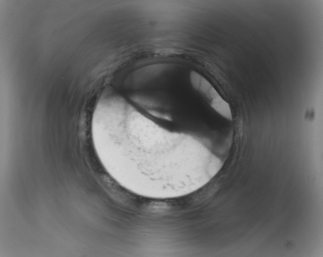 X0000113060519200910091147