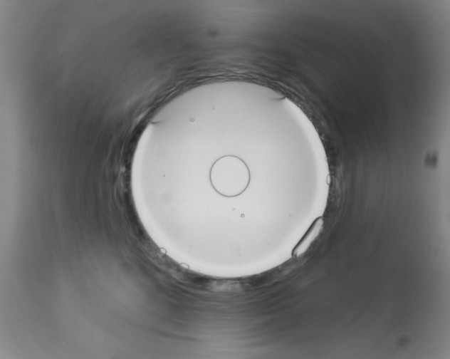 X0000113060520200910091147