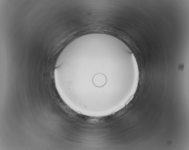 X0000113060521200910091147