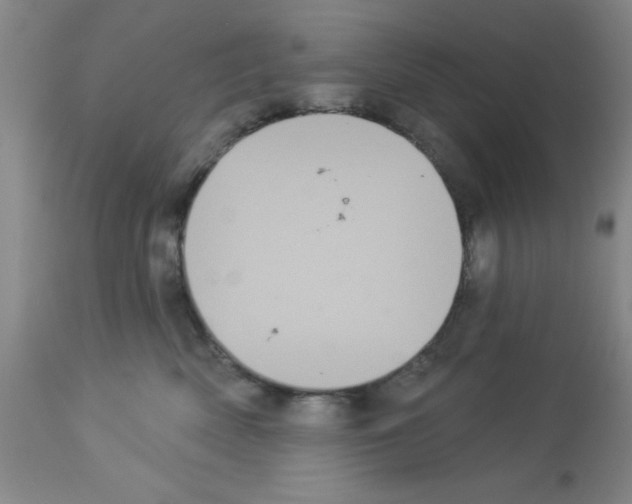 X0000113060522200910091146