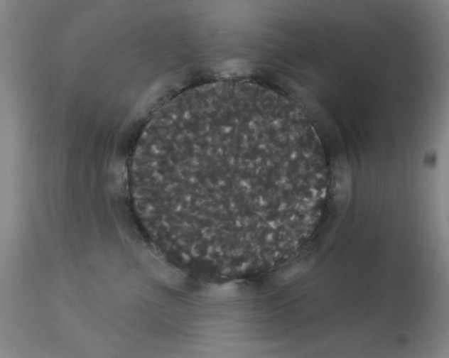 X0000113060523200910091146