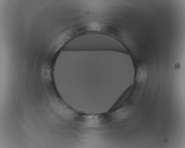 X0000113060524200910091146