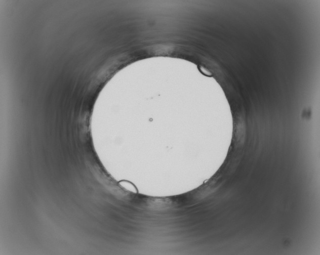 X0000113060525200910091146