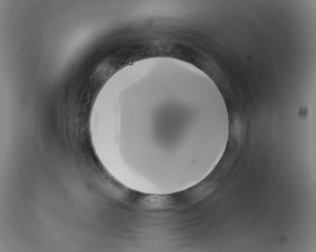 X0000113060526200910091146