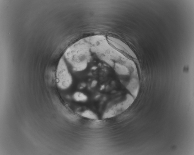 X0000113060527200910091146