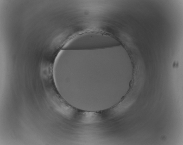 X0000113060528200910091146