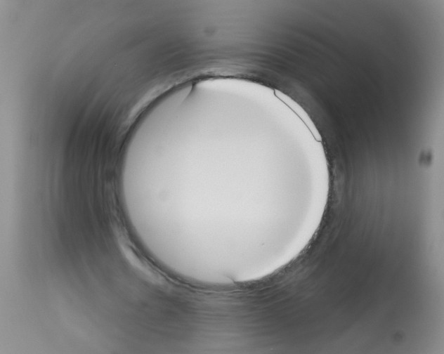 X0000113060530200910091146
