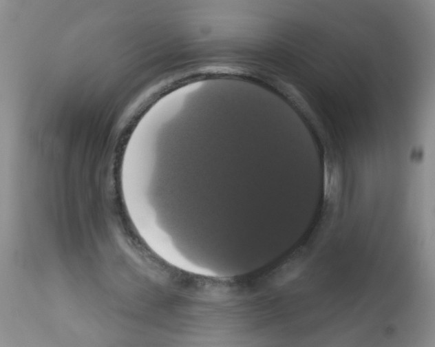 X0000113060531200910091146