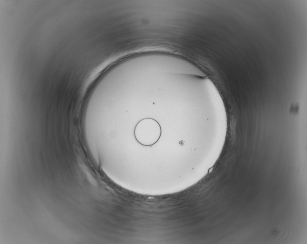 X0000113060532200910091146