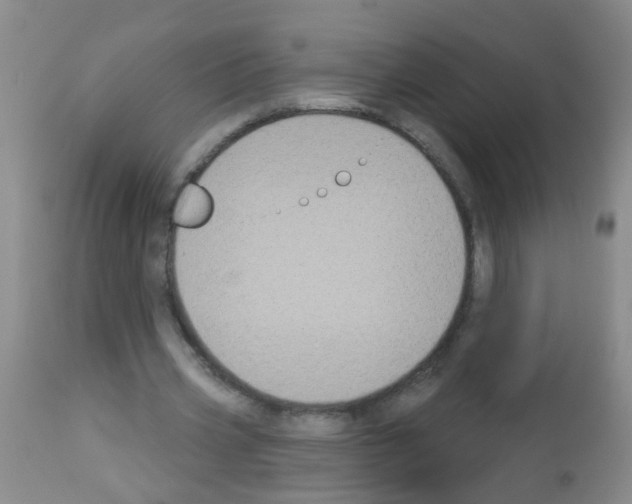 X0000113060533200910091146