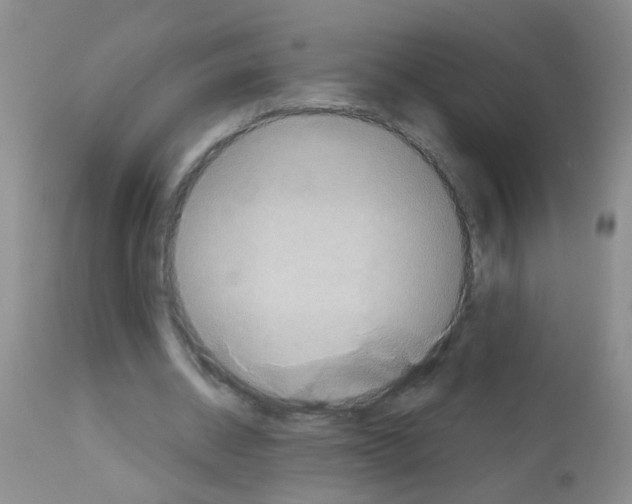 X0000113060534200910091146