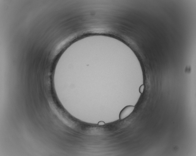 X0000113060535200910091146