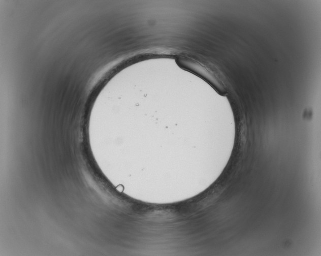 X0000113060536200910091146