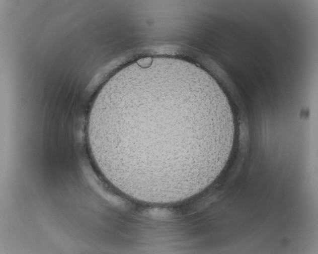 X0000113060537200910091146