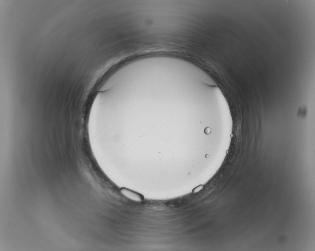 X0000113060540200910091146