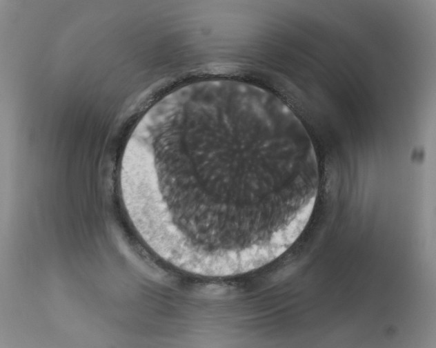 X0000113060542200910091146