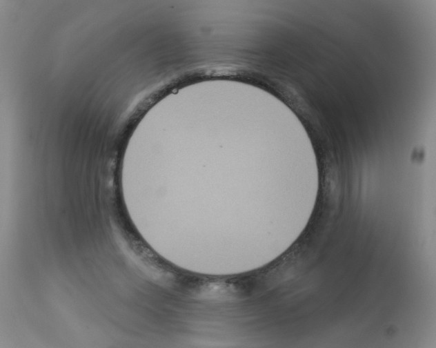 X0000113060543200910091146