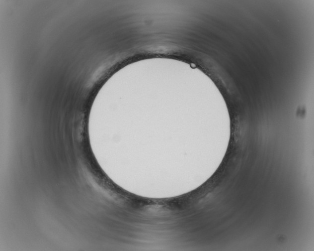 X0000113060544200910091146