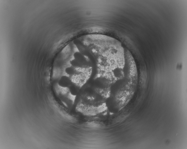 X0000113060545200910091146