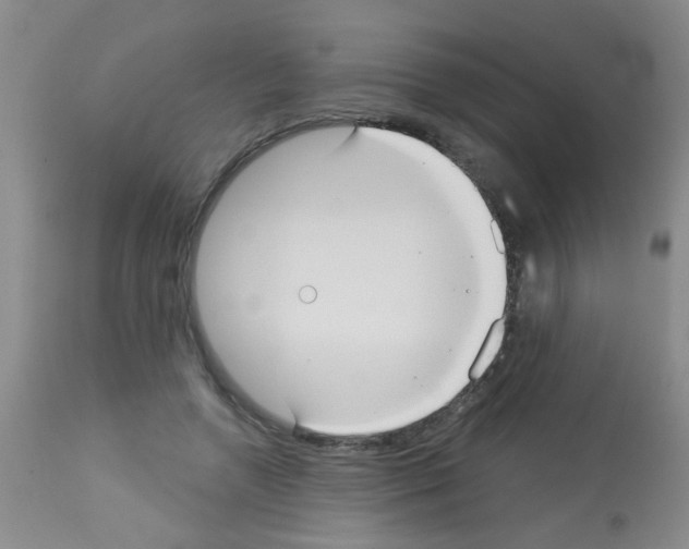 X0000113060546200910091146