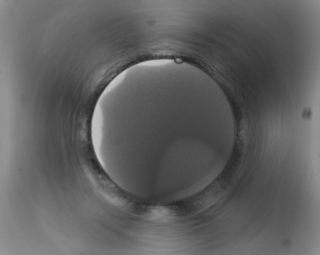 X0000113060547200910091146