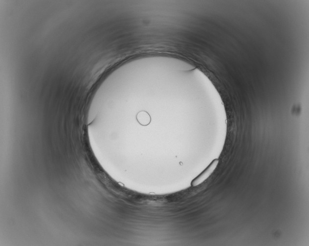 X0000113060548200910091146