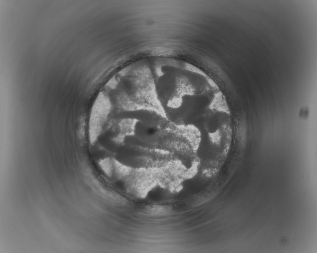 X0000113060549200910091146
