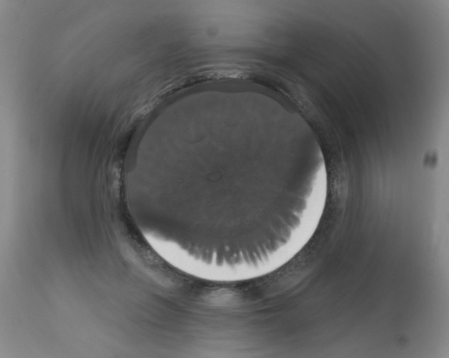 X0000113060551200910091146