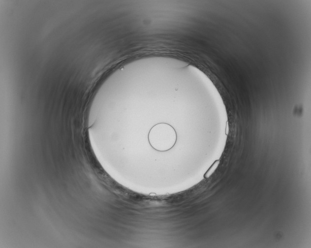 X0000113060552200910091146