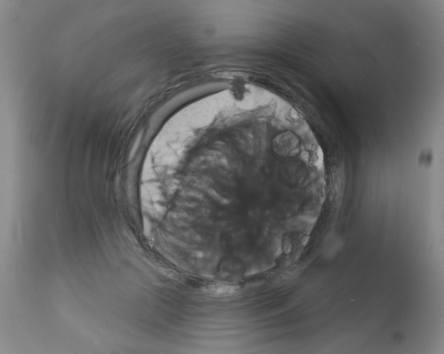 X0000113060553200910091146