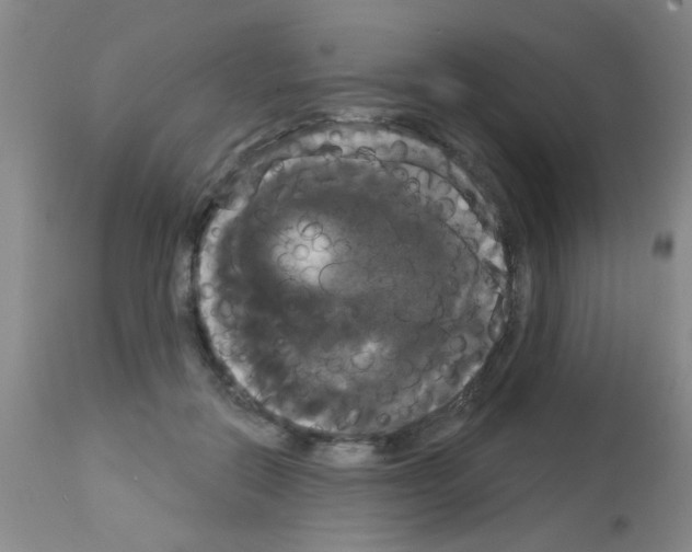 X0000113060554200910091146
